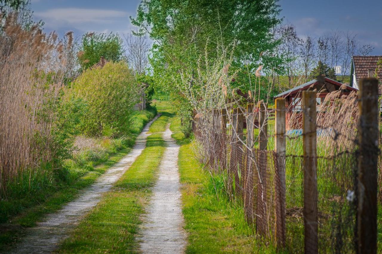Villa Etno Salas - Etno Ranch - Seosko Turisticko Domacinstvo Palić Exterior foto